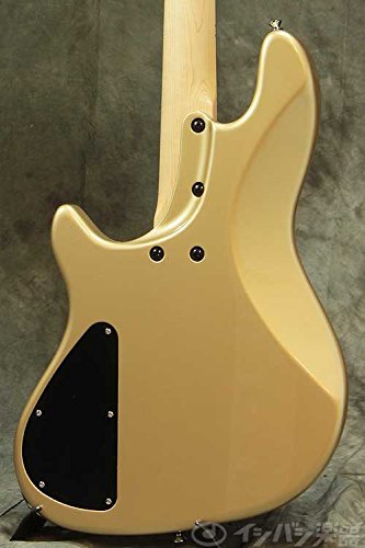 Amazon | 25周年記念モデル Atelier Z Z#2015 4st Limited