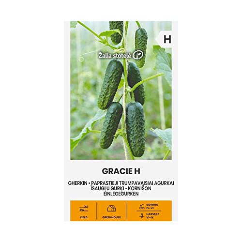 Zalia stotele | SOTTACETI GRACIE H da semi | Semi di Cetriolini | Semi di ortaggi | Semi di piante | Semi da giardino | 1 pacchetto
