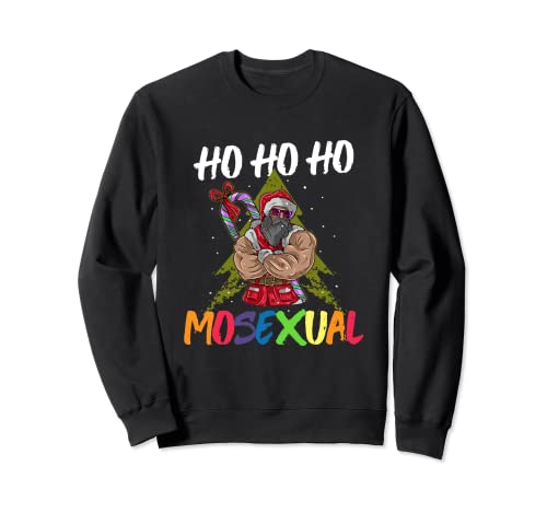Ho Ho Ho Mosexual Gay Santa LGBT Pun Gay Pride Christmas Sudadera