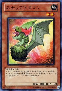 �V�Y���J�[�h �y�X�i�b�v�h���S���z VE03-JP001-UR �s�u�W�����v�G�f�B�V�����t