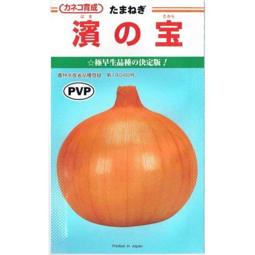 カネコ種苗 タマネギ 濱の宝