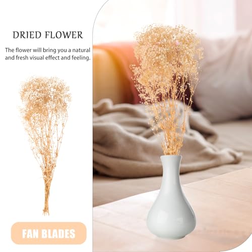 Ramo de flor seca Babys Breath Ipetboom 120g miniatura 7
