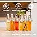 Kombucha Bottles, Swing Top Glass Brewing Bottles Bottles for Kombucha, Beer, Kiefer, Limoncillo, Vanilla - 16 oz. - Grolsch Style Bottle (6 Set) with Funnel