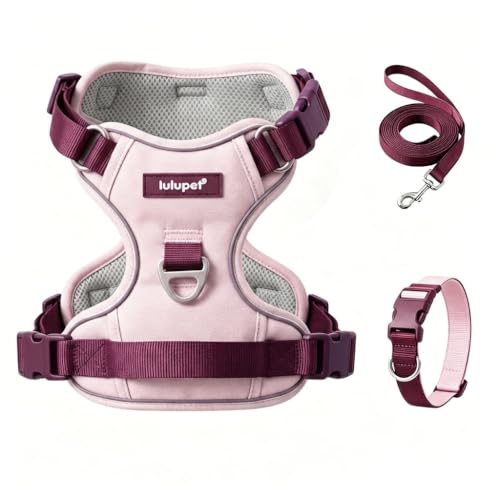 Lulupet No-Pull Dog Harness & Leash Set (Pink, M)