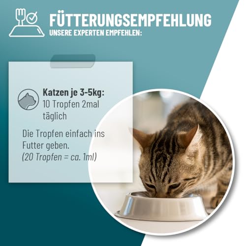ReaVET Relax Liquid für Katzen 50ml - Beruhigung mit Baldrian, L-Tryptophan, Vitamin B12 & Melisse I Beruhigungstropfen bei Silvester, auf Reisen & Autofahrt