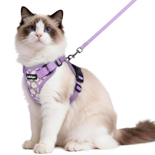 Image of rabbitgoo Cat Harness and Leash Set, Escape Proof Vest, Purr-ple Daisy | Soft Breathable Mesh, Easy Adjustable Fit, Snap Buckles, Sturdy Clip, Reflective Strips, for Medium to Large Cats Walks, M