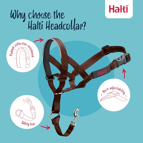 Image of Halti Headcollar for Dogs | Size 1, Deep Walnut | Stop Your Dog Pulling on the Leash | Adjustable, Reflective, Lightweight | Padded Nose Band | Training Collar for Small Dogs