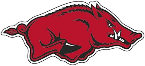 Arkansas Razorbacks Magnet image 2