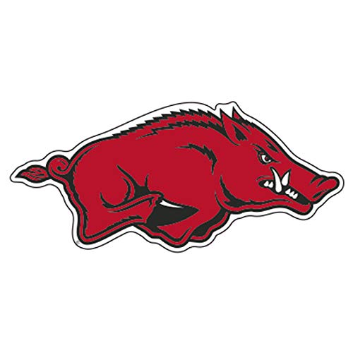 Arkansas Razorbacks Magnet