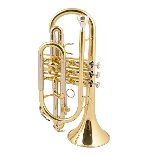 コルネット 初心者」の人気商品一覧 | 安い商品を通販サイトから探す