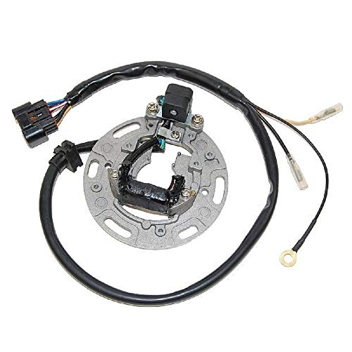 ElectroSport ESC1366 Stator KX100