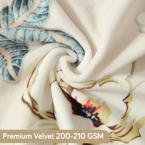 Image of HOKIPO Premium Printed Velvet Dining Chair Cover Set of 1, Buttercream Magnolia Whisper (AR-5794-D5)