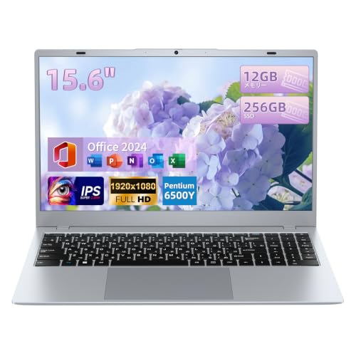 ZRASU�m�[�g�p�\�R�� Office 2024���� 15�C���` IPS�t�� 1920×1080FHD �f�B�X�v���C 12GB������ 256GB SSD�J�����t�� 6500Y ���^ �É�PC�m�[�g ���{�ꂩ�Ȉ󎚂��� US�z�� USB3.2×2 /USB2