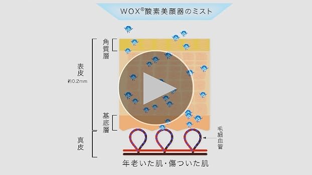 Amazon | パラダイスファクトリー WOX (R) 酸素美顔器