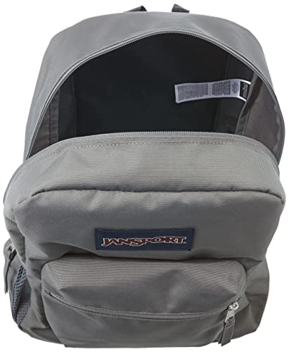 JANSPORT Bag, Unisex Adult Backpack, Grey (Grey), 42x32x144