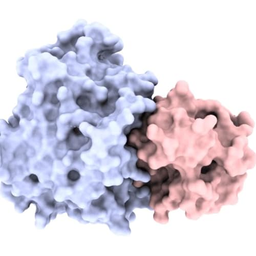 The Grammar of Proteins: Building Protein Language Models for Discovery
