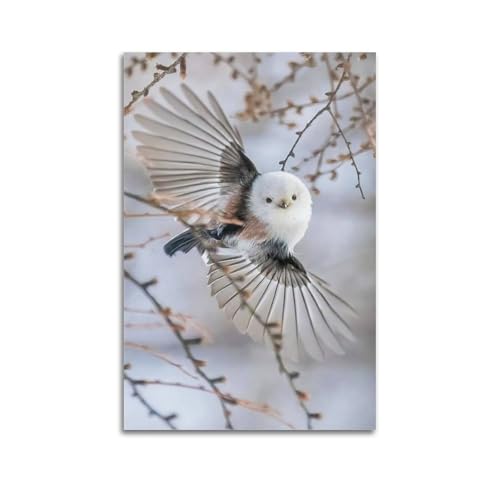 Poster mésange à queue allongée 60x90 décoration murale suspendue moderne
