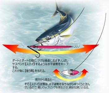 shaut! Metal Jig Stay 111-120SY Lure