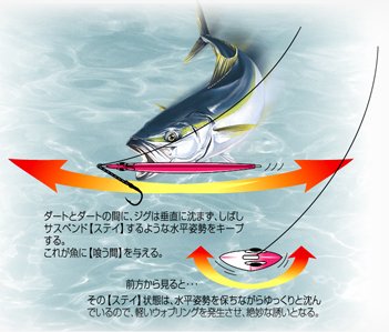 shout ジグ １２本セット Amazon.co.jp: シャウト(shaut!) メタルジグ ステイ 400g ブルー