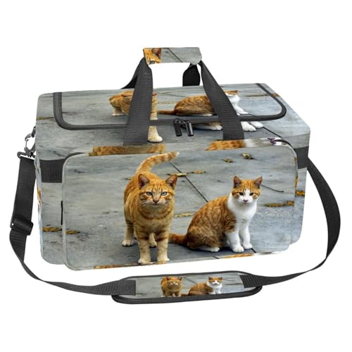 Sac d'entraînement koala 30L multicolore, grand organiseur de sac de voyage sport et fitness