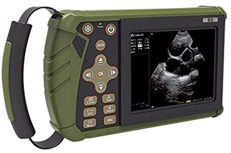 Przenośny weterynaryjny skaner ultradźwiękowy B z dwiema wypukłymi sondami – sprzęt diagnostyczny dla zwierząt i zwierząt domowych, idealny do hodowli