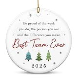 OASSIE Presentes de time de Natal para funcionários - enfeites de árvore de Natal de cerâmica 2025 - Presentes de agradecimento de elefante branco para equipe, colega de trabalho, escritório, grupo