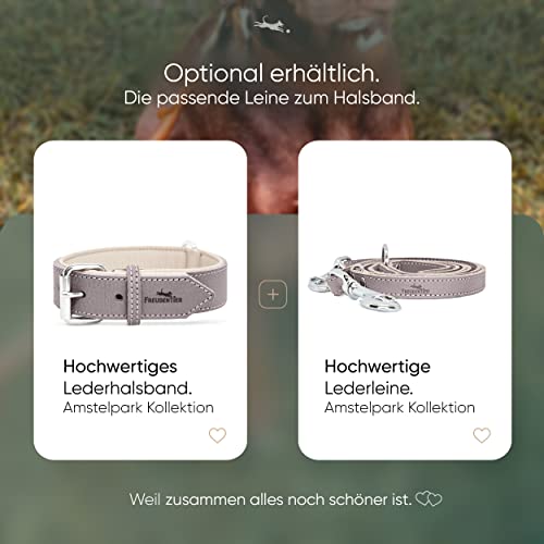 FREUDENTIER Hundehalsband aus Leder, Made in EU, gefüttert & super komfortabel, hochwertiges breites Lederhalsband aus Vollnarbenleder, Model “Amstelpark” (42-52cm Halsumfang, Graubraun)