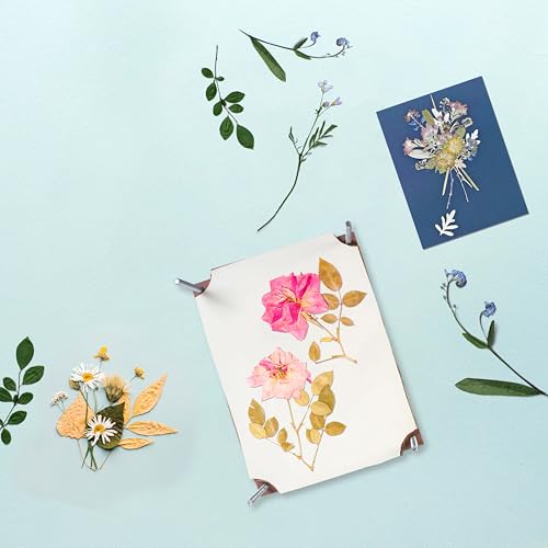 Image of Little Birdie DIY Pressed Flower Art Kit 1 Box| Art & Craft, Creative, Fun & Activity DIY Learning Kit | Gift for Kids, Girls and Boys