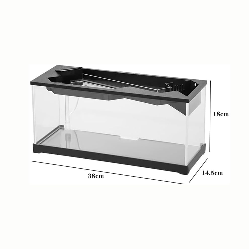 Acquario in Acrilico, Kit Acquario per Piccoli Pesci da Tavolo per Ufficio, Boccia per Pesci per Acquaponica, Boccia Ecologica per Pesci per La Casa, Kit Acquario per Pesci Betta con Filtro