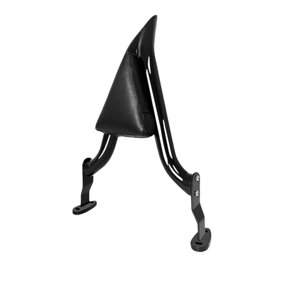 Coussin dossier passager pour Davidson Road Glide 3 et Freewheeler - 7