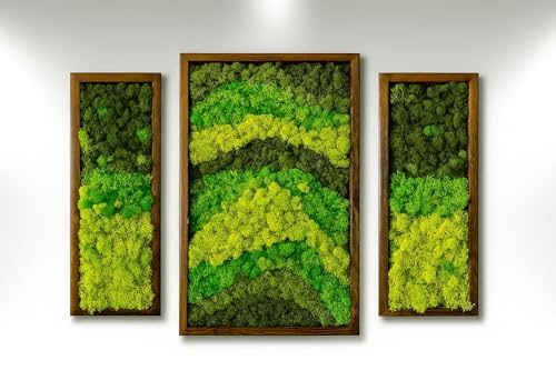 lagom Green Wall Art Moss, Preserved Moss, Wall Art, Handcrafted Home Decor, Natural Wood Framed, Set of 3, (BROWN FRAME, 1)