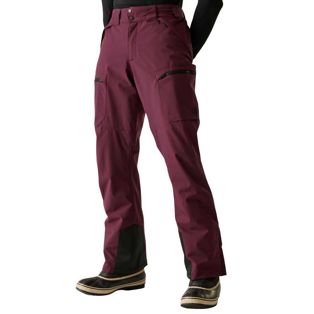 Dare2b Men's Fig Baseplate Ii Ski Pants