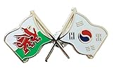 Emaille Emblems-Gifts Wales & Südkorea-Flagge Abzeichen Brosche emailliert