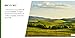 Hills (Earth's Landforms)
