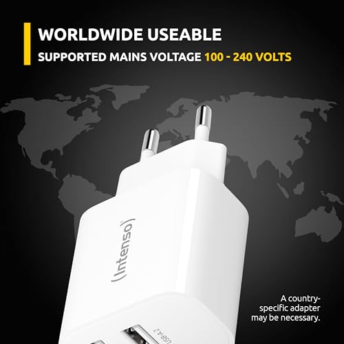 Intenso Power Adapter W24AA Caricatore Con 2 Porte USB-A 24 Watt Bianco - 5