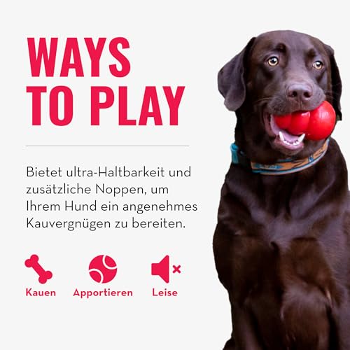 KONG Ring - Hundekauspielzeug - Unterstützt die Zahngesundheit - Langlebiger Naturkautschuk - Für XL Hunde