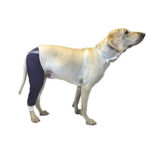 After Surgery Wear Hip and Thigh Wound Protective Sleeve for Dogs. Dog Recovery