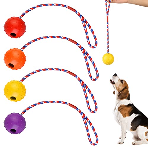 Mitening 4 Piezas Pelotas para Masticar Perros con Cuerda, Pelota de Cuerda de Goma SóLida para Entrenamiento de Perros, Juguete de Pelota para Mascotas Jugando Ejercicio de Entrenamiento