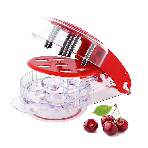 41IdBQ0qcsL._SS520_ Best cherry deseeder