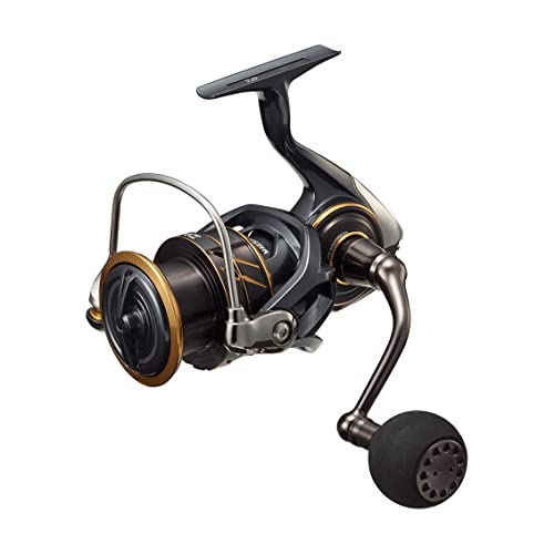 Daiwa Spinning Reel 22 Cardia SW 6000S-H (2022 Model) : Amazon.ca