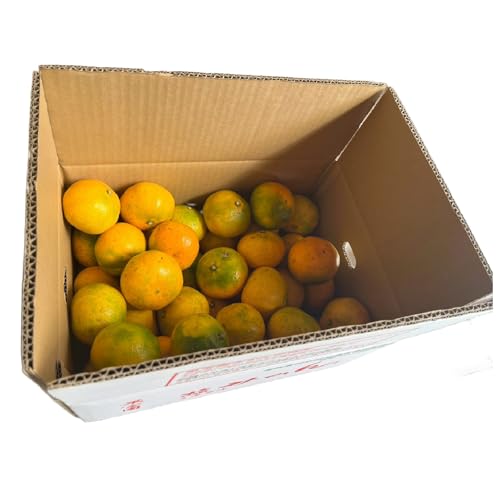 [超減農薬・高糖度]塩ミネラルみかん 約5kg [お届け不可:北海道・沖縄・離島]