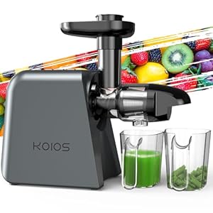 Masticating Juicer Machine, Cold Press Juicer with 2 Speed Modes & Reverse function, Juicer Machine for Vegetable and Fruit, Celery Juicer with Quiet Motor, Easy to Clean with Brush, Non-BPA