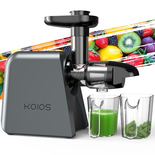 Masticating Juicer Machine, Cold Press Juicer with 2 Speed Modes & Reverse function, Juicer Machine for Vegetable and Fruit, Celery Juicer with Quiet Motor, Easy to Clean with Brush, Non-BPA