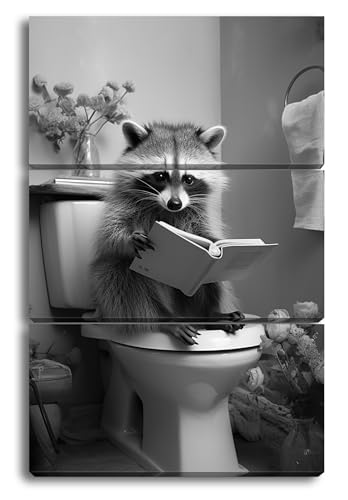 Mapache de lectura en el baño jardín de rosas del silencio, formato: 120 x 80 cm (3 partes), efecto: blanco y negro XXL, impresión artística sobre marco de madera/lienzo/mural/decoración de salón
