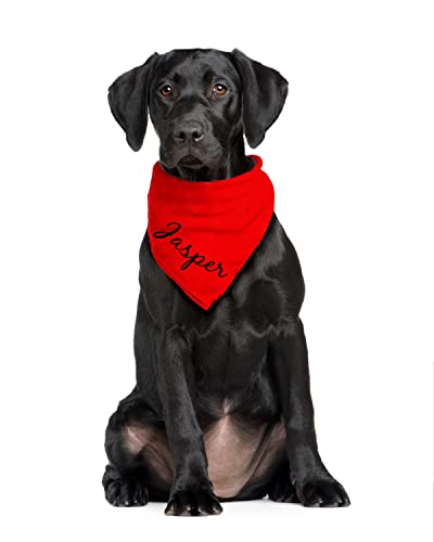 Bandada Pañuelo para Perro Personalizable