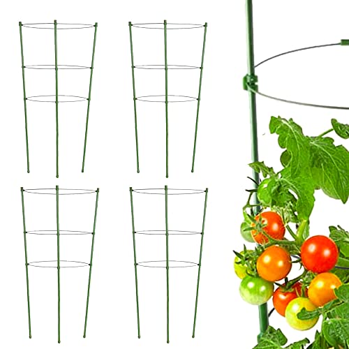 Tomato Cage Plant Support Cage For Garden 4 Pack, 18 Inch Tomato Trellis Garden Cages With 3 Adjustable Rings, Tomato Plant Stakes For Climbing Plants, Flowers, Fruit, Vegetables #TOP22