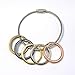 Flat Key Rings Key Chain Metal Split Ring 40pcs (Round 1 Inch Diameter), for Home Car Keys Organization, Arts & Crafts, Lanyards, Colored (Black, Silver, Gold, Copper, Antique Brass)