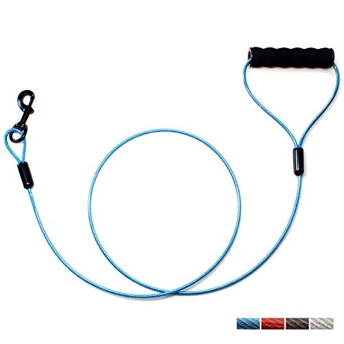 BAAPET 5 Feet Chew Proof Dog Leash with Coated Steel Cable and Soft