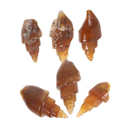 Sosoport 6 Piezas De Espécimen De Caracol De Piedra Espécimen Mineral De Caracol Espécimen De Ágata Caracol Coleccionable Modelo Científico Espécimen De Ágata Espécimen De Caracol