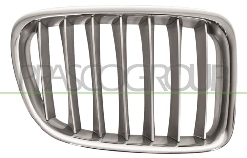 Parrilla frontal con alerón Prasco bm7022033 de alta resistencia aerodinámica
